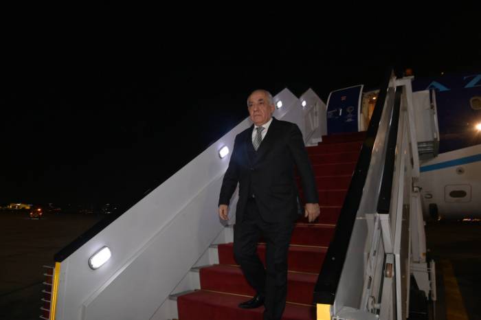 Azerbaijani PM arrives in Egypt for D-8 summit 