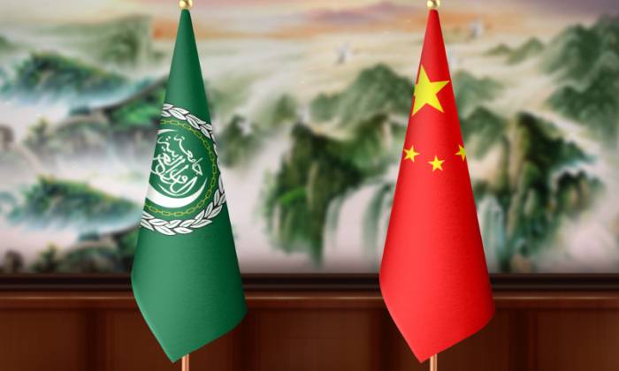 China pledges ongoing support for Arab countries' strategic independence 