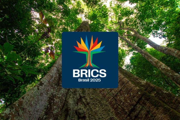 News about - Brazil unveils BRICS logo  for 2025 