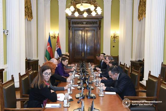 Azerbaijan and Serbia explore opportunities for strategic partnership 