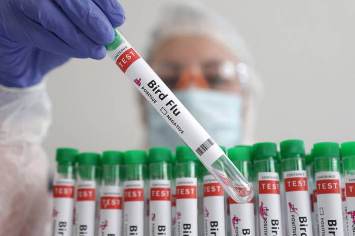 CDC detects mutations in first severe US bird flu case