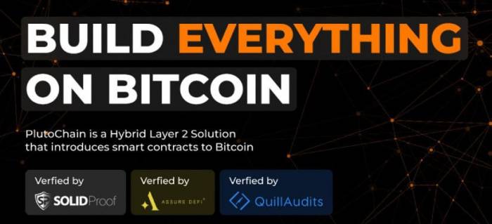 News about - SOL, TON and XRP whales are eyeing new sensation PLUTO: Forechast 