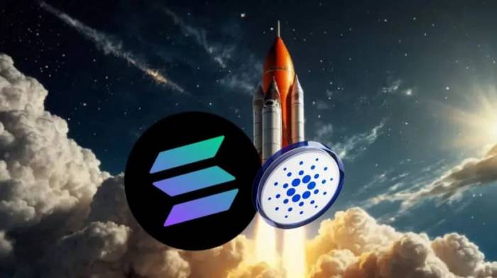 SOL, TON and XRP whales are eyeing new sensation PLUTO: Forechast 