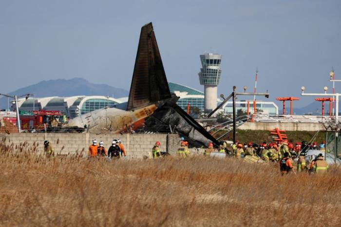 Landing gear malfunction likely caused Muan plane crash, says S. Korean authorities