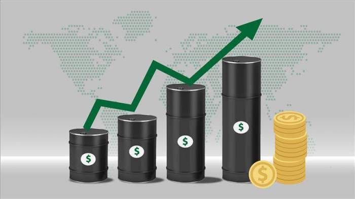 Azerbaijani oil price approaches $76 in global markets 