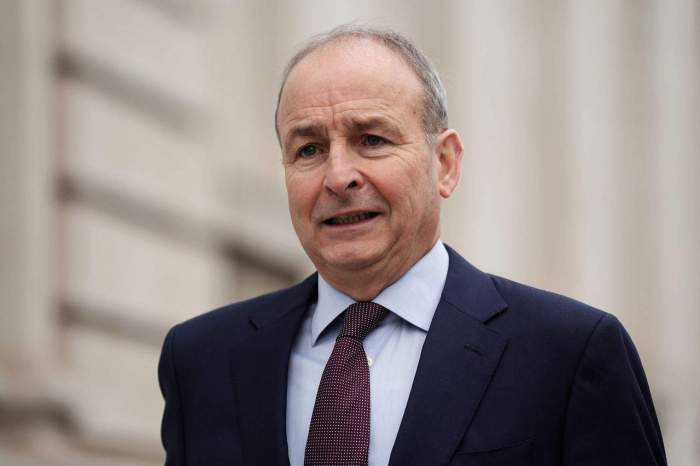 Ireland to urge ICJ to expand definition of genocide in Israel case 