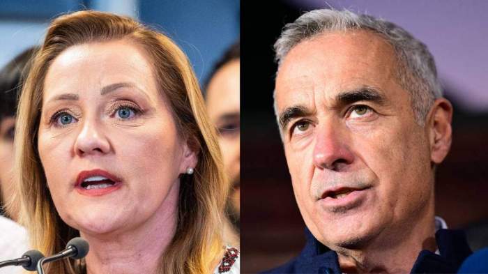 Pro-Western alliance takes power in Romania