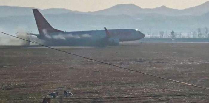 Experts question bird strike as cause of South Korea plane crash 