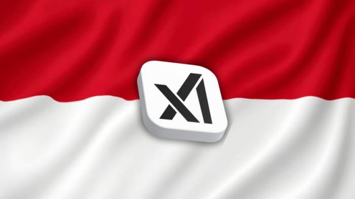Indonesia courting Elon to launch xAI data centres in Southeast Asia