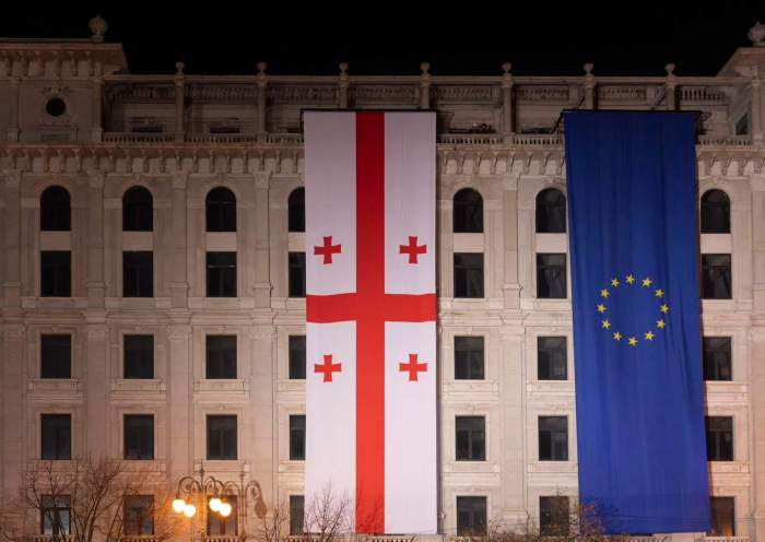 EU to suspend visa liberalization for Georgian diplomats and other officials