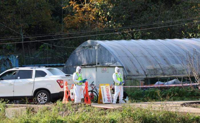 South Korea records new case of avian influenza at egg farm
