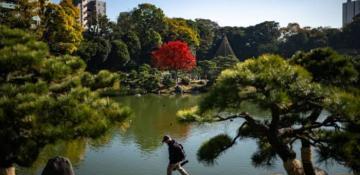 Japan records warmest autumn in 126 years