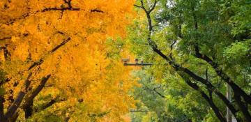 China experiences hottest autumn on record 