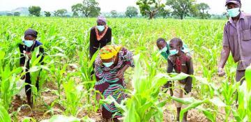 Rwanda launches agriculture strategy to build resilient, sustainable agri-food systems 