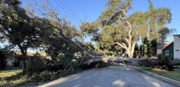 US state of California braces for dangerous Santa Ana winds; red flag warning issued