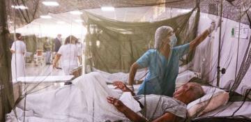 Dengue fever cases surge to record high in Central and South America