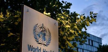 WHO reports decline in malaria mortality, stresses need for accelerated efforts