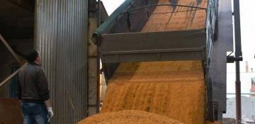 Ukraine offers to supply food to Syria as Russia supplies suspended 