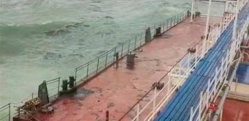 Russia's Black Sea coast hit by oil spill after storm-damaged tankers