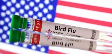 United States confirms first severe case of H5N1 Bird Flu in 
