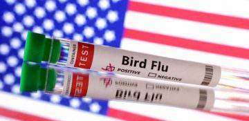 California governor declares state of emergency amid bird flu