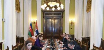 Azerbaijan and Serbia explore opportunities for strategic partnership 