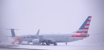 American Airlines briefly grounds all flights on technical issue 