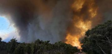Australia orders urgent evacuation as massive bushfire rages in national park