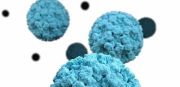 US records surge in norovirus cases