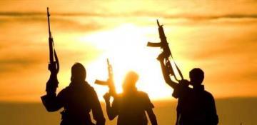 Pakistani army eliminates 13 militants in northwest area 