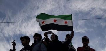 Syrian opposition coalition supports transitional government 