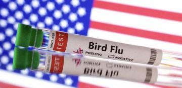 What led California to declare a state of emergency over bird flu? 