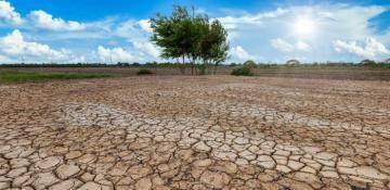 UN talks in Saudi Arabia fail to reach deal on global drought action 