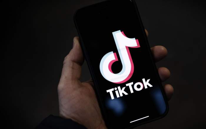 Albania to block TikTok for a year 