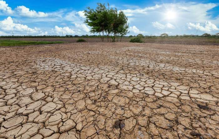 UN talks in Saudi Arabia fail to reach deal on global drought action 