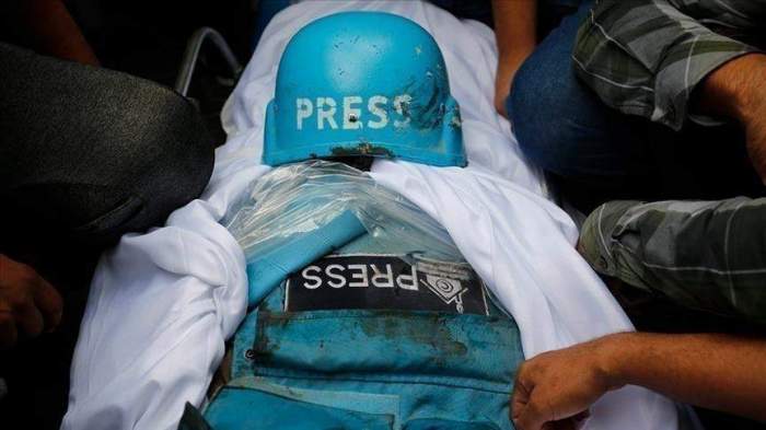 194 reporters killed during combat operations in Gaza - TV 
