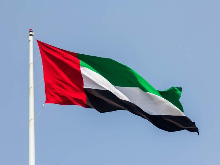 UAE condemns Israel’s seizure of Golan Heights buffer zone 