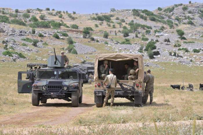 Egypt calls for Israel's full withdrawal from southern Lebanon 