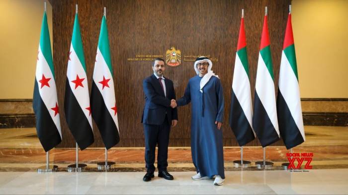 UAE, Syrian FMs meet on bilateral ties, developments in Syria 