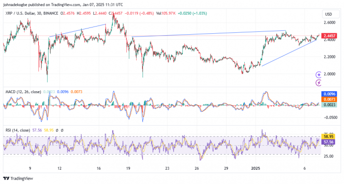 2025/01/1736259292.jpg + Ripple’s evolution takes a decisive turn News about - Ripple’s evolution takes a decisive turn