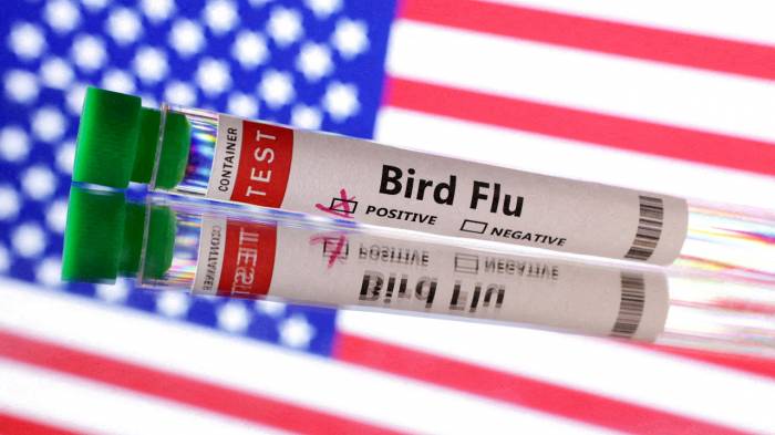 US reports first bird flu-related death 