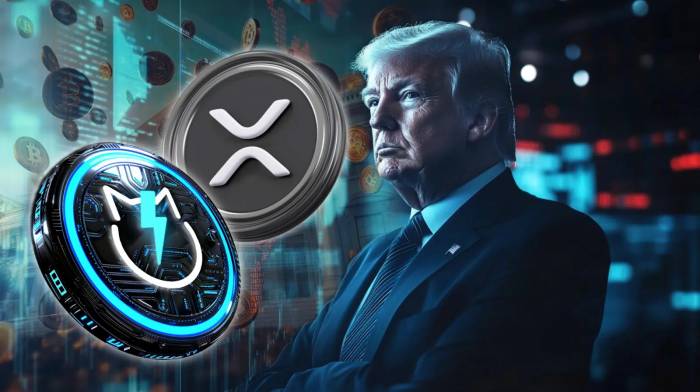 News about -  XRP optimism for 2025: Meeting with Trump - a new breath for XRP community
