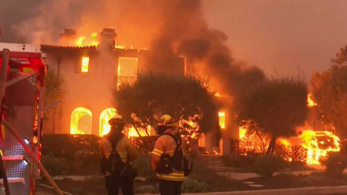 Los Angeles wildfires devastate homes of several celebrities