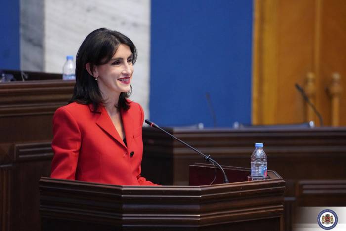 Georgian FM plans visit to Azerbaijan 