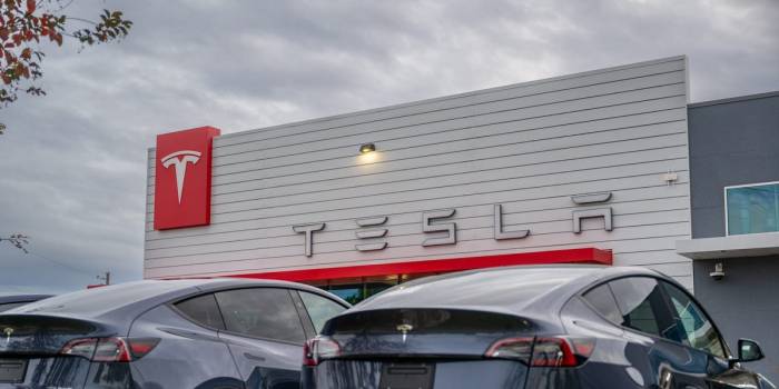 Europe’s largest pension fund sells entire stake in Tesla over Musk’s pay