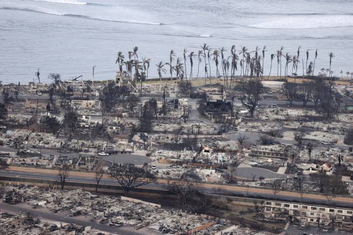 News about -  Top 5 devastating wildfires in the globe: And ongoing wildfires in Los Angeles 