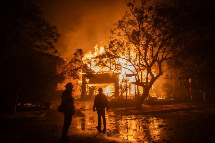  Top 5 devastating wildfires in the globe: And ongoing wildfires in Los Angeles 
