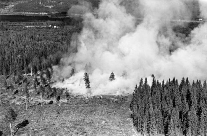 News about -  Top 5 devastating wildfires in the globe: And ongoing wildfires in Los Angeles 