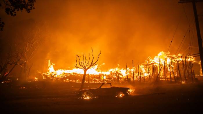 News about -  Top 5 devastating wildfires in the globe: And ongoing wildfires in Los Angeles 