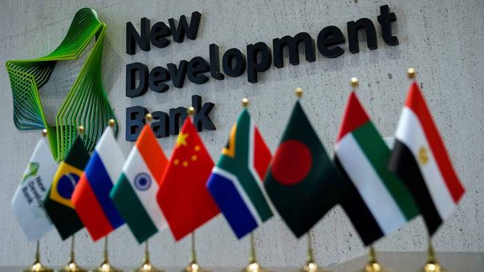 BRICS New Development Bank announces first bond issuance of 2025